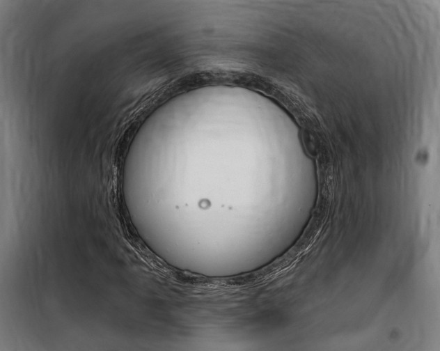 X0000100871061200806200857