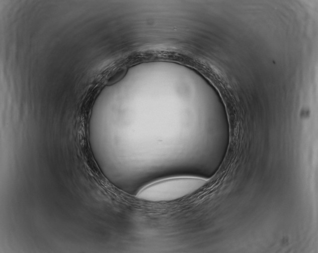 X0000100871062200806200857