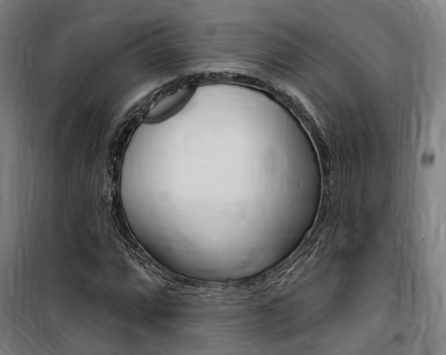 X0000100871064200806200857