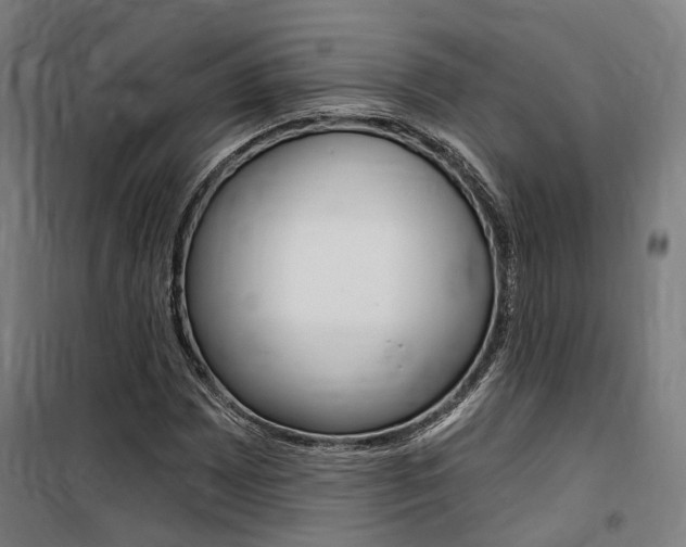 X0000100871065200806200857