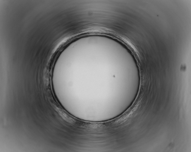 X0000100871067200806200857