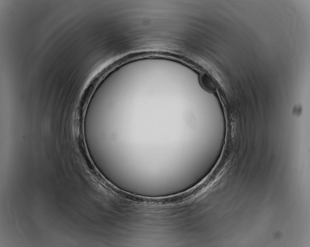 X0000100871069200806200857