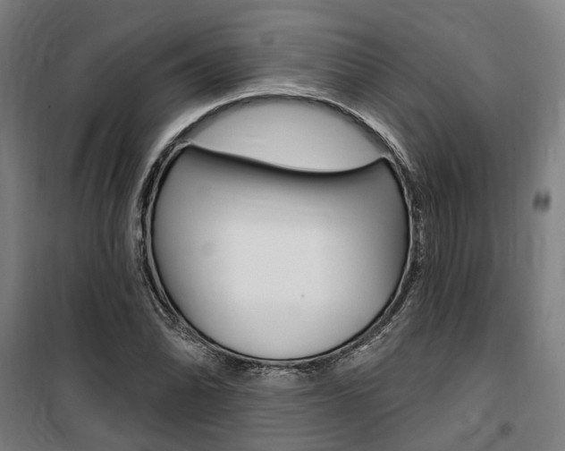 X0000100871070200806200857