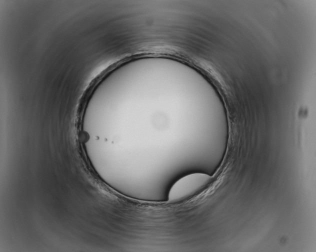 X0000100871071200806200857