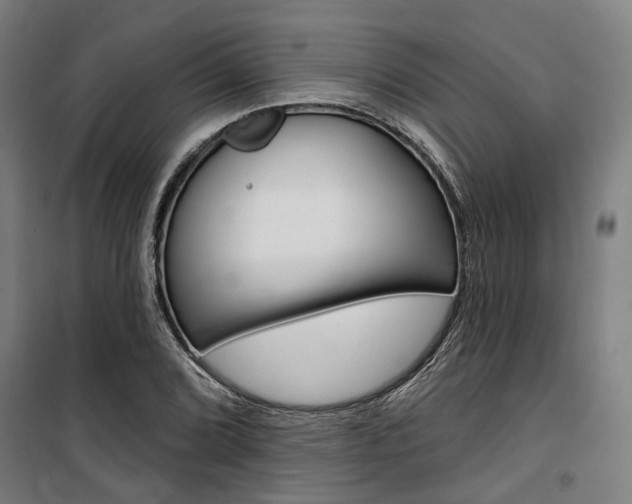 X0000100871072200806200857