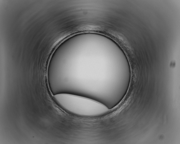 X0000100871073200806200857