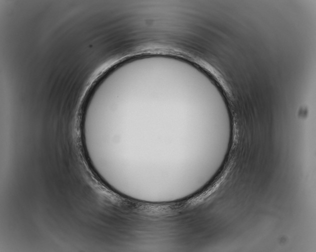 X0000100871074200806200857