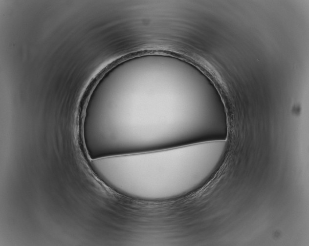 X0000100871076200806200857