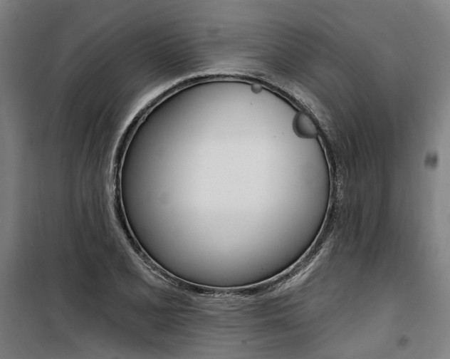 X0000100871077200806200857