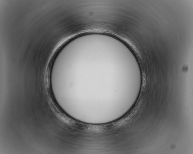 X0000100871078200806200857