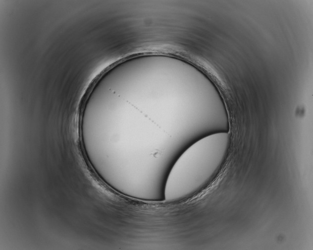 X0000100871079200806200857
