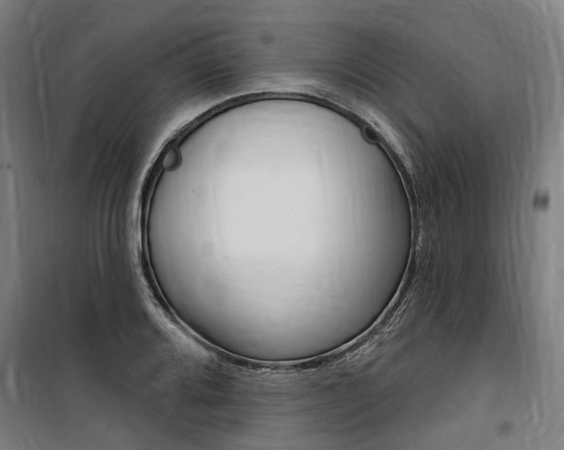 X0000100871080200806200857