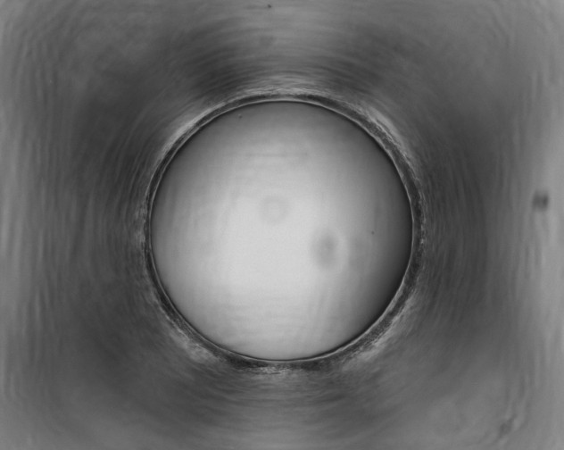 X0000100871081200806200857