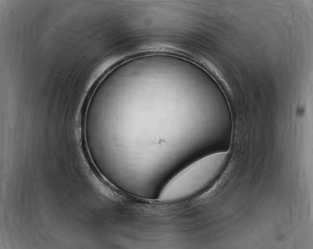 X0000100871082200806200857