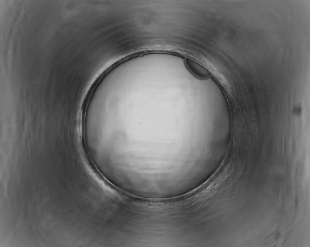X0000100871084200806200857
