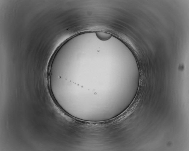 X0000100871087200806200857