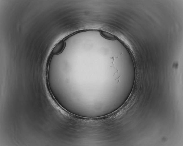 X0000100871088200806200857