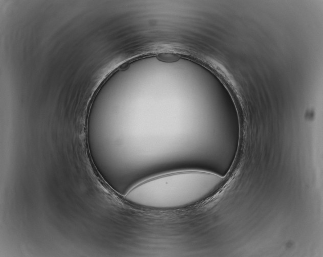 X0000100871089200806200857