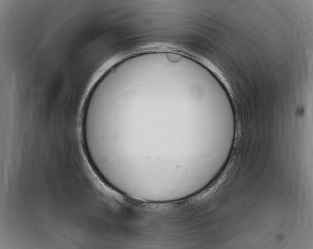 X0000100871090200806200857