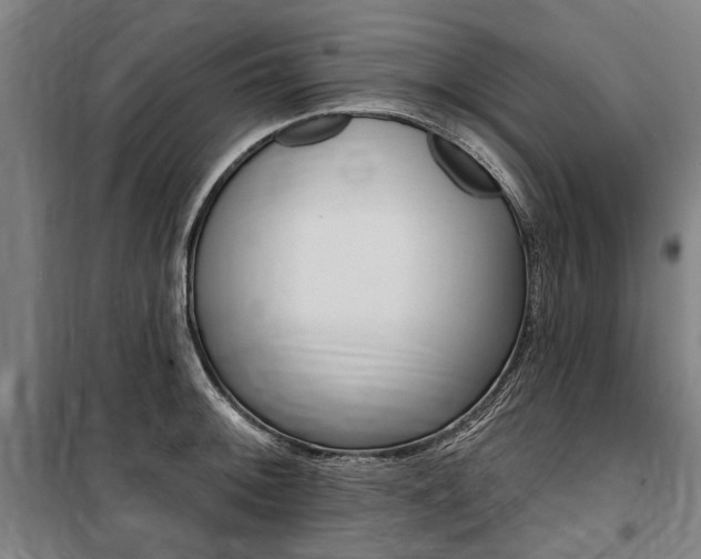 X0000100871092200806200857