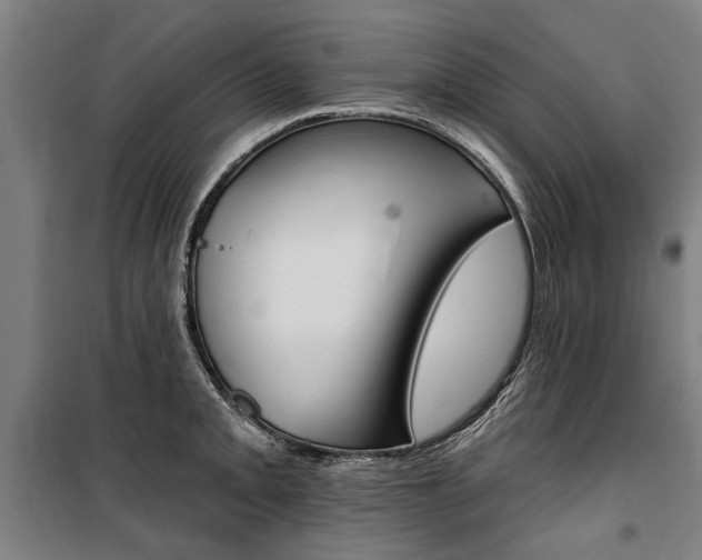 X0000100871093200806200857