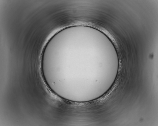 X0000100871094200806200857