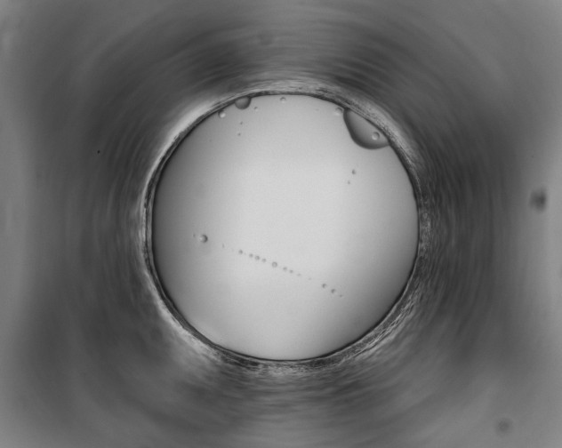 X0000100871095200806200857