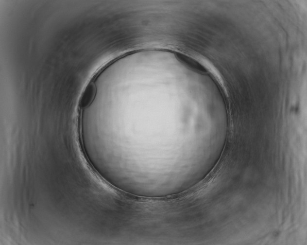 X0000100871096200806200857