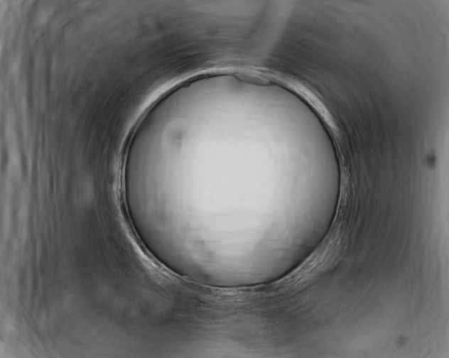 X0000100871101200806200857