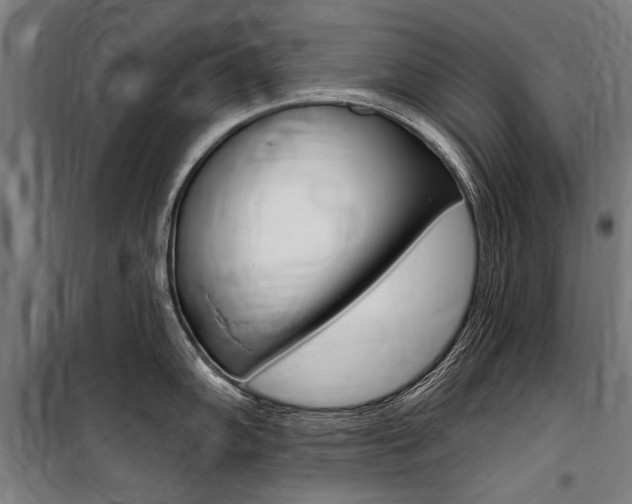 X0000100871102200806200857