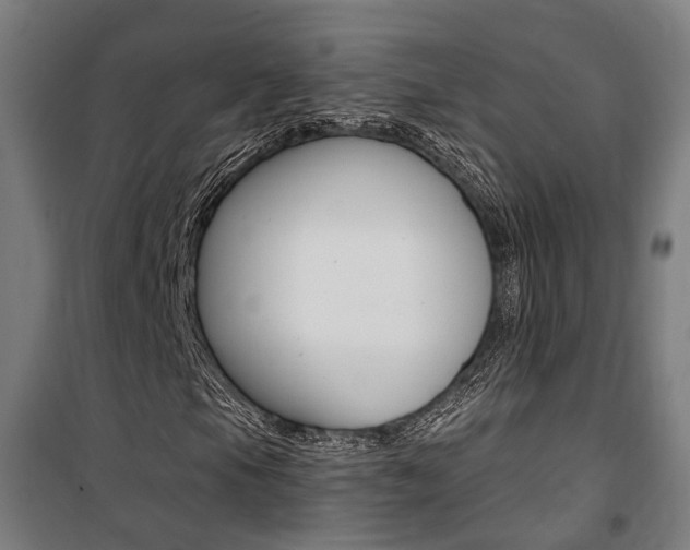 X0000100871105200806200856