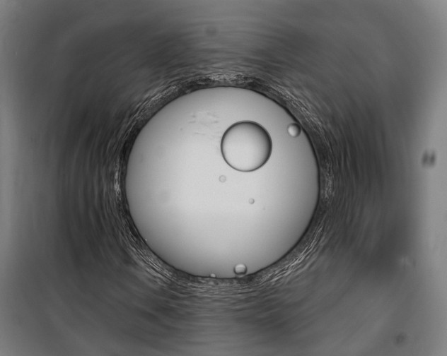 X0000100871106200806200856