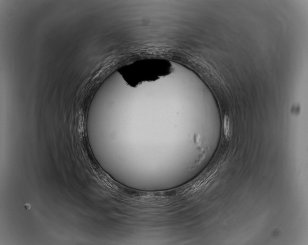X0000100871107200806200856