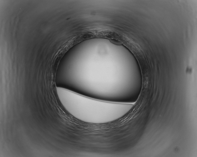 X0000100871108200806200856