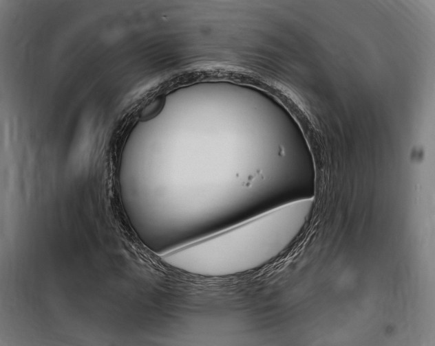 X0000100871111200806200856