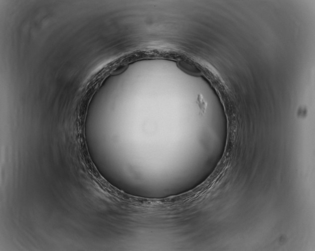 X0000100871112200806200856