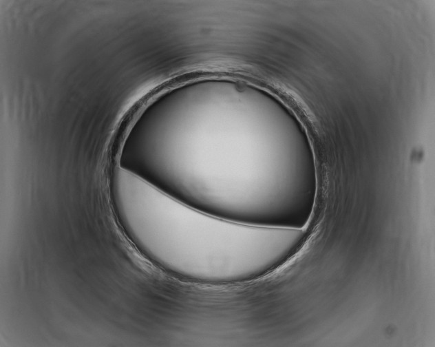 X0000100871114200806200856
