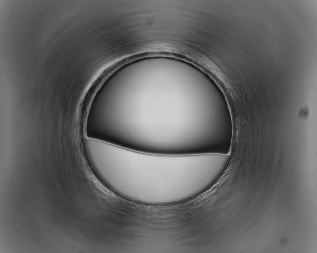 X0000100871116200806200856