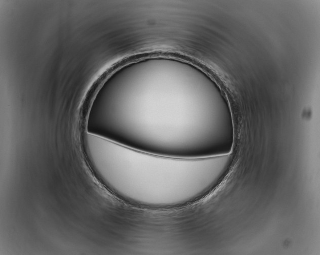 X0000100871118200806200856