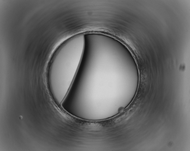 X0000100871119200806200856