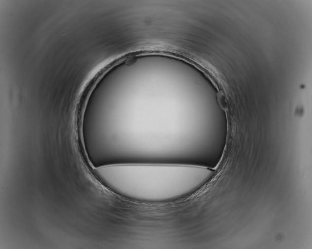 X0000100871120200806200856