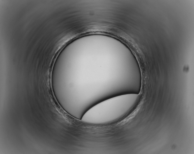 X0000100871121200806200856