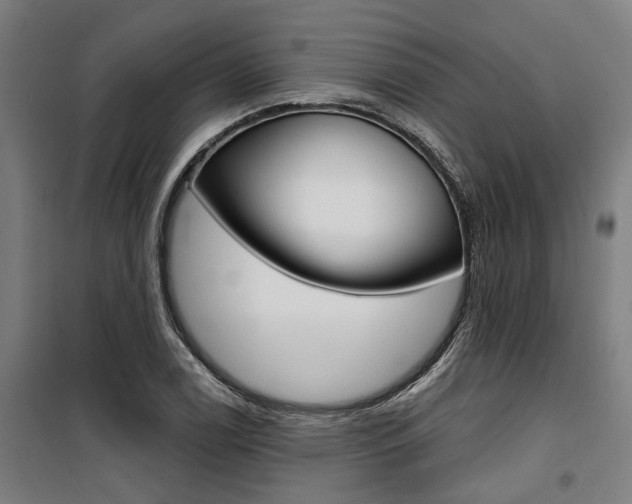 X0000100871122200806200856