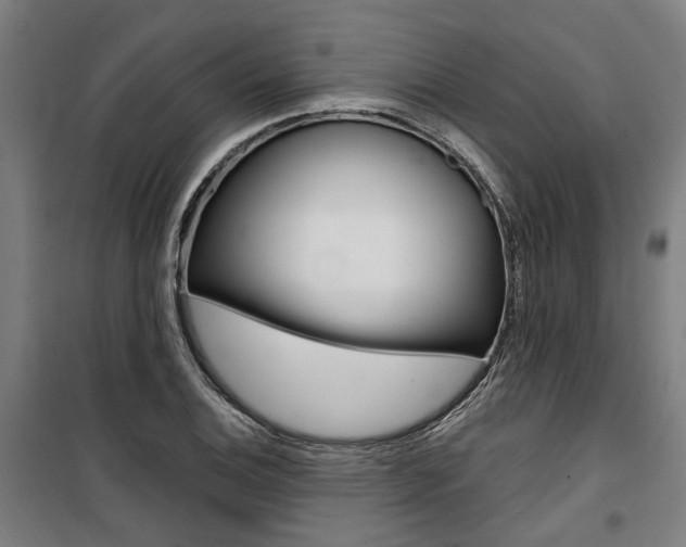 X0000100871124200806200856