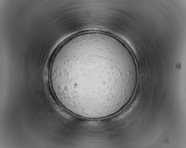 X0000100871125200806200856