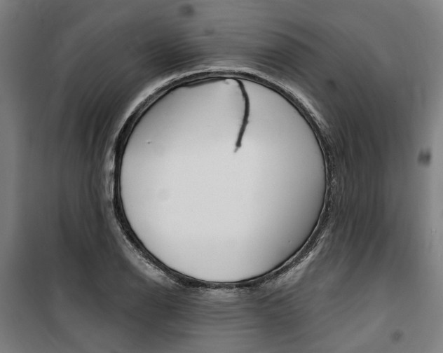 X0000100871126200806200856