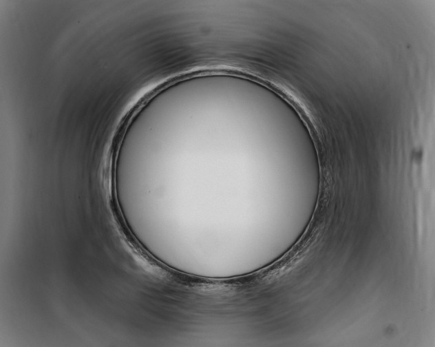 X0000100871127200806200856