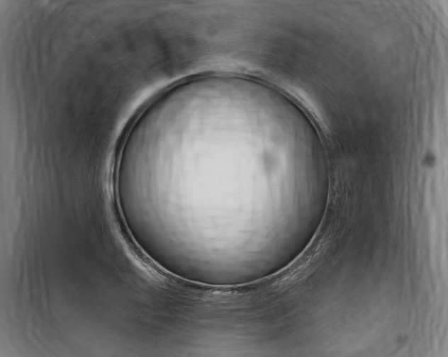X0000100871128200806200856