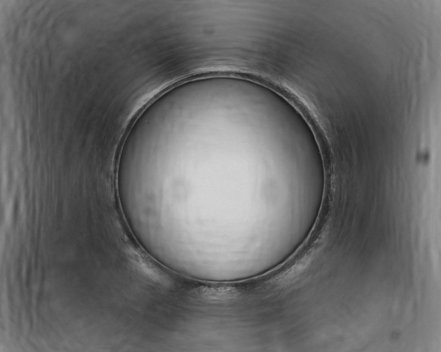 X0000100871129200806200856
