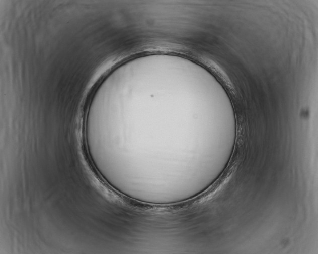 X0000100871130200806200856